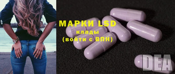 ПСИЛОЦИБИНОВЫЕ ГРИБЫ Аркадак