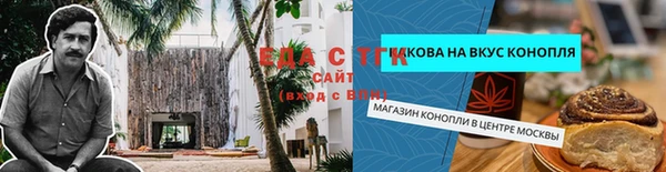 индика Балабаново