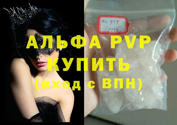 индика Балабаново