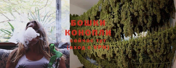 ПСИЛОЦИБИНОВЫЕ ГРИБЫ Аркадак