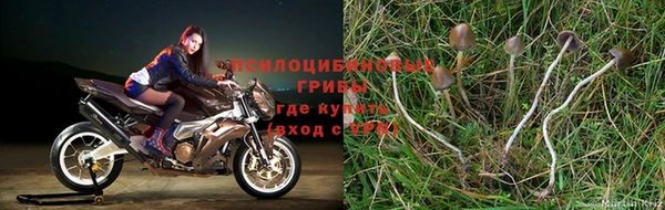 индика Балабаново