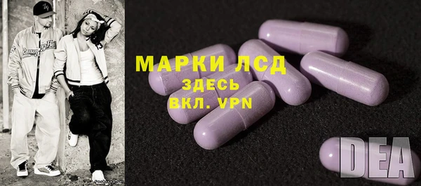 индика Балабаново